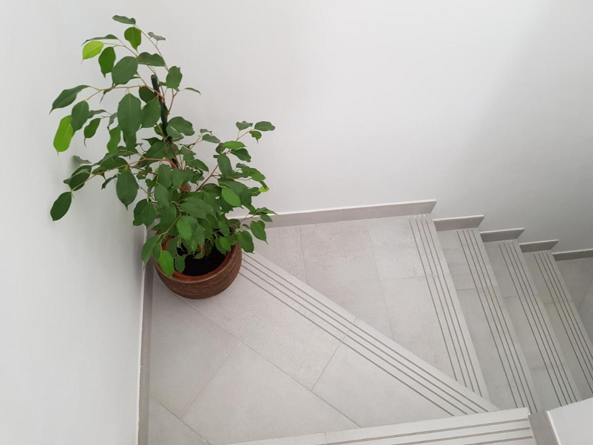 Loft Abantos - 120M2 Mas Terraza Y Jardin Independiente San Lorenzo de El Escorial Ngoại thất bức ảnh